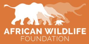Learn More About the AWF Here